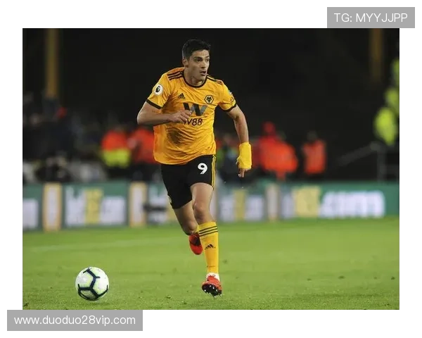 尼斯俱乐部：法国足球的崭新篇章与未来发展战略